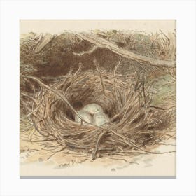 Nest 3 Canvas Print