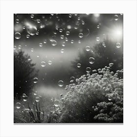 Black And White Photography Canvas Print