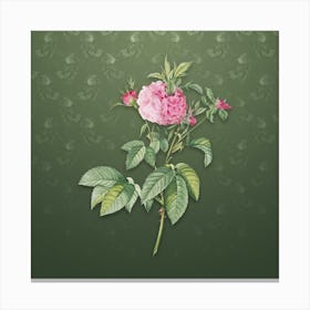 Vintage Pink Agatha Rose Botanical on Lunar Green Pattern n.0456 Canvas Print