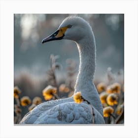 Elegant Swan Canvas Print