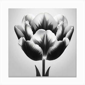 Black And White Tulip 1 Canvas Print