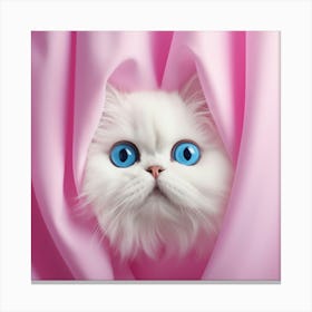 White Cat Peeking Out Of Pink Curtain Canvas Print