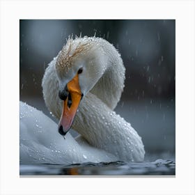 Swan In The Rain 1 Canvas Print