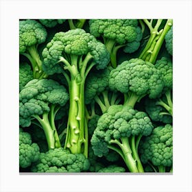 Close Up Of Broccoli 1 Canvas Print