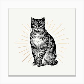 Cat With Sunburst 1 Canvas Print