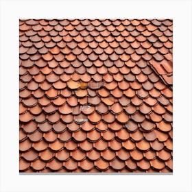 Tile Roof 3 Canvas Print