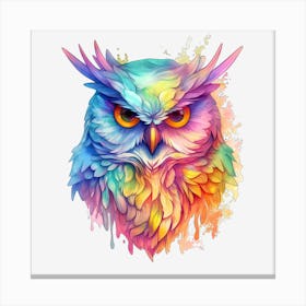 Colorful Owl 6 Leinwandbild