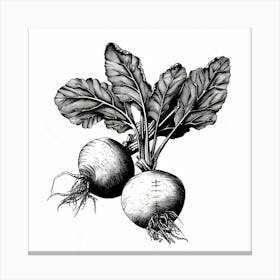 Beets Canvas Print