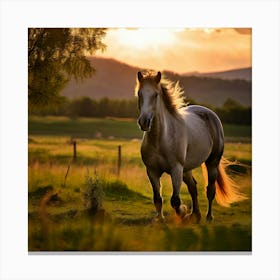 Grass Wild Horse Pasture Sun Romanian Horse Country Calf Rural Farm White Cloud Nature (2) Canvas Print
