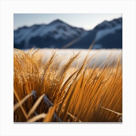Golden Wheat Canvas Print
