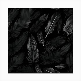 Black Feathers On A Black Background Canvas Print