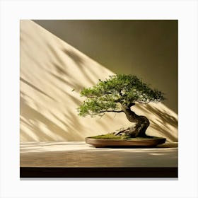 Firefly Bonsai, Tree, Minimalist, Setting, Soft, Shadows, Neutral, Background, Serene, Calm, Nature, (8) Canvas Print