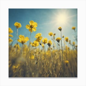 Sunflowers In A Field Canvas Print