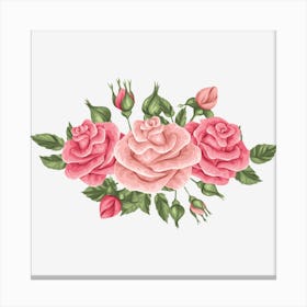 Pink Roses Canvas Print