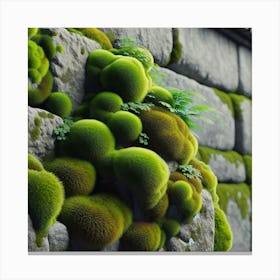 Moss Growing On A Stone Wall Canvas Print