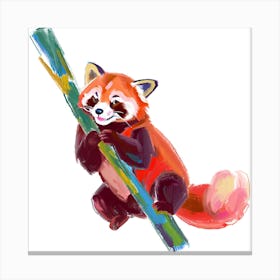 Red Panda 07 Canvas Print