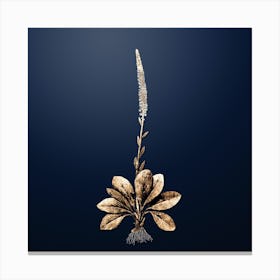 Gold Botanical Blazing Star on Midnight Navy Canvas Print