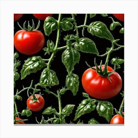 Tomato Vines On Black Background Canvas Print