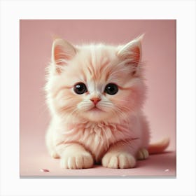 Cute Kitten 2 Canvas Print