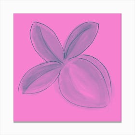 Lemon Pink Bright 1 Canvas Print