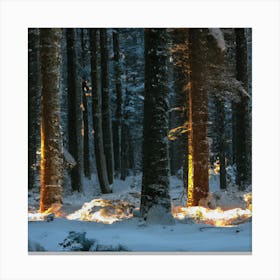 Christmas Lights In The Forest Canvas Print