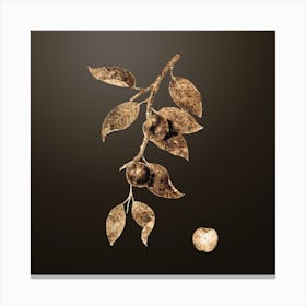 Gold Botanical Cherry Plum on Chocolate Brown n.4660 Canvas Print