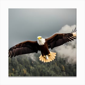 Bald Eagle In Flight Canvas Print