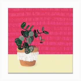 Funky Cactus 1 Square Canvas Print
