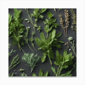 Herbs As A Background Haze Ultra Detailed Film Photography Light Leaks Larry Bud Melman Trendi (6) Canvas Print