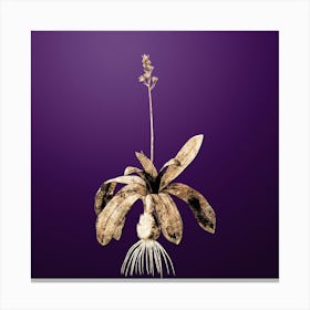 Gold Botanical Scilla Lilio Hyacinthus on Royal Purple n.4027 Canvas Print