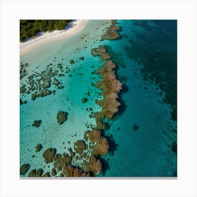 Aerial View Of Coral Reefs Canvas Print