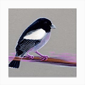 Blackbird On A Branch Canvas Print