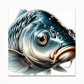 Carp Fish Canvas Print