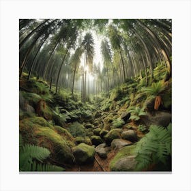 Ferns In The Forest 10 Canvas Print