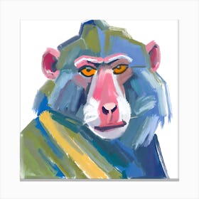 Baboon 03 Canvas Print