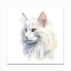 Turkish Angora Cat Portrait 1 Canvas Print