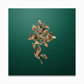 Gold Botanical Evergreen Oak on Dark Spring Green n.3223 Canvas Print