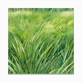 Watercolor Green Grass 1 Canvas Print