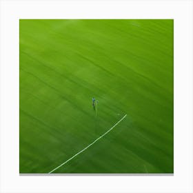 Lawn Green Grass Line Drone Person Surface Field Descending Adult Day Greenery Sharpened (6) Canvas Print