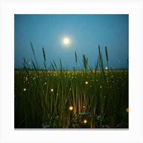 Fireflies In A Field 1 Canvas Print