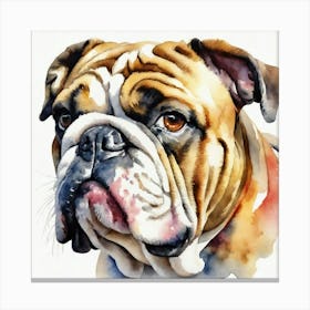 Bulldog Canvas Print