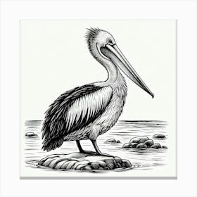 Line Art pelican 3 Canvas Print