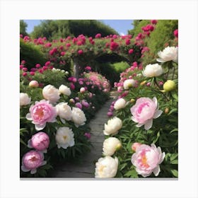 Peonies In The Garden Canvas Print