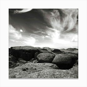 Red Canyon Snake Canvas Print