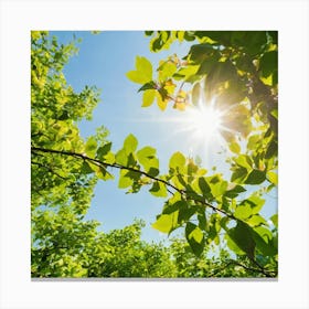 Sun Shining Through Green Leaves Canvas Print