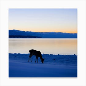 Deer Grazing In The Snow Canvas Print