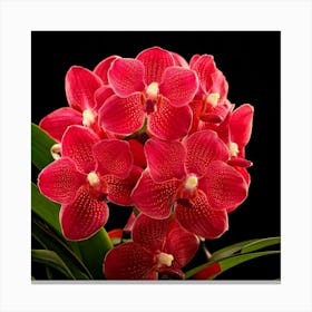 Firefly Vibrant Explosion Of Red Orchids In Full Bloom 99890 Canvas Print