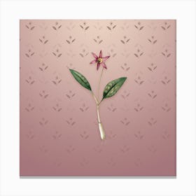 Vintage Erythronium Botanical on Dusty Pink Pattern n.0396 Canvas Print