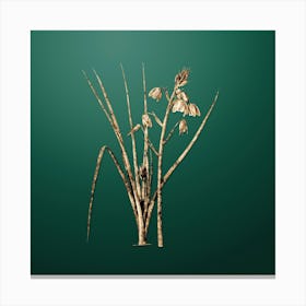 Gold Botanical Slime Lily on Dark Spring Green n.1347 Canvas Print