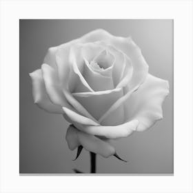 Black And White Rose 2 Canvas Print